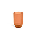 17oz  Acrylic Ribbed Tumbler