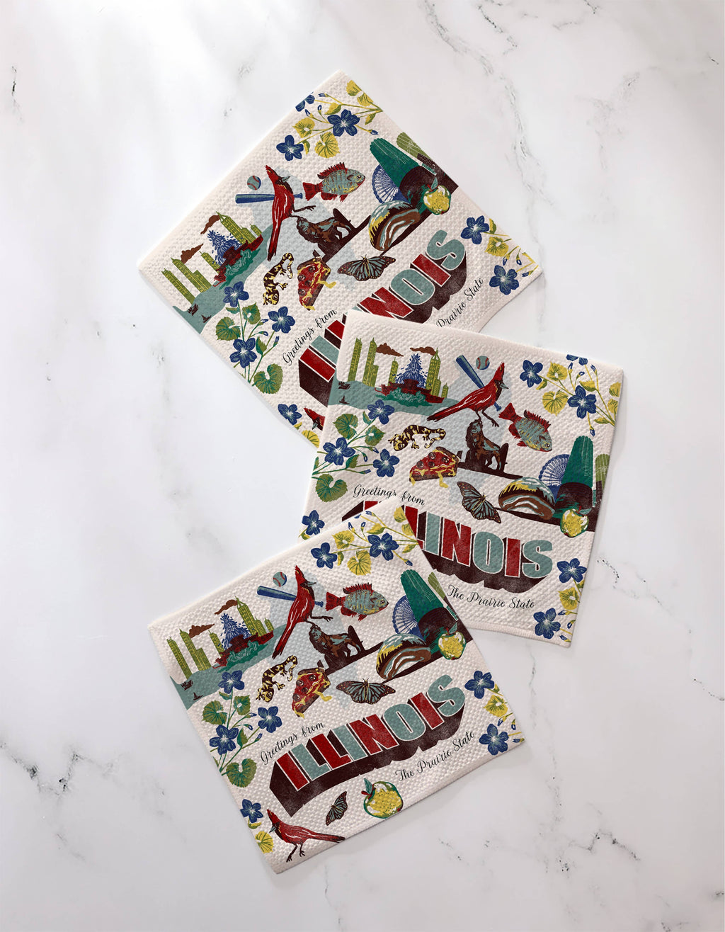 Geometry Greetings From Illinois Dishcloth Set