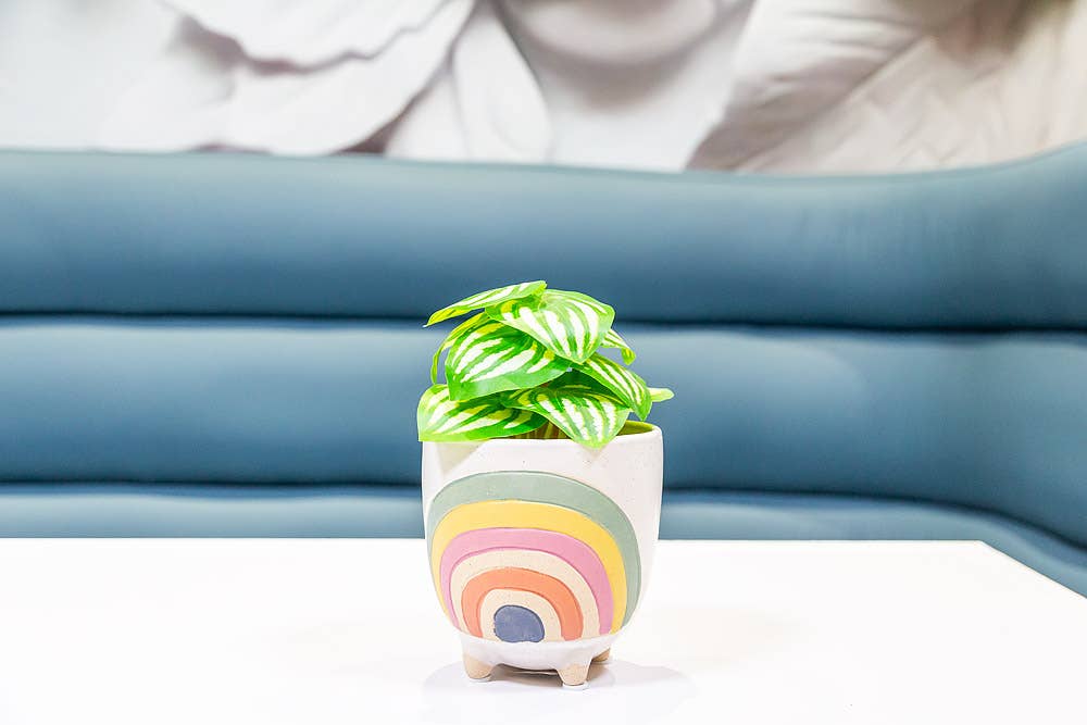 Sm Rainbow Planter